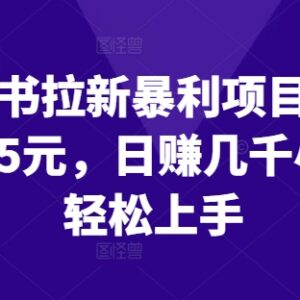 2024小红书拉新副业实操攻略 一单15元零成本小白轻松上手-雨叶虚拟资源网