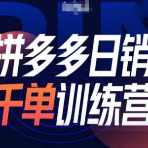 拼多多日销千单训练营第31期 微付费带免费流实操教程-雨叶虚拟资源网