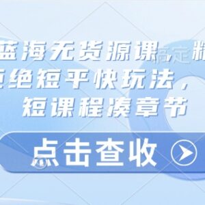 2025淘宝蓝海无货源精细运营课 全实操长课时拒绝短平快玩法-雨叶虚拟资源网