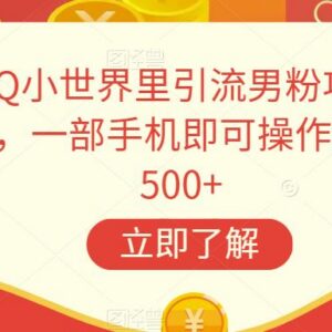 QQ小世界男粉引流最新玩法 单人手机操作日入500项目拆解-雨叶虚拟资源网