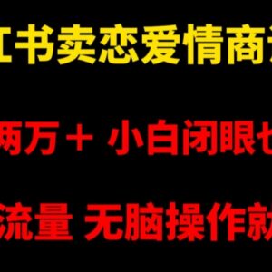 小红书售卖恋爱情商课程赚钱攻略 低门槛副业实操全流程指南-雨叶虚拟资源网
