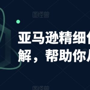 亚马逊精细化广告从0到1教程 自动权重解读及手动打法详解-雨叶虚拟资源网