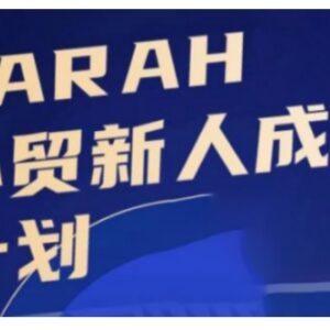 外贸新人成长系统教程 掌握开发谈判成单全流程实操技巧-雨叶虚拟资源网