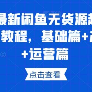 2023最新闲鱼无货源保姆级教程 覆盖基础选品运营全模块-雨叶虚拟资源网