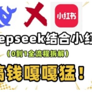 DeepSeek+小红书流量生产线实操课 0到1运营全流程拆解-雨叶虚拟资源网