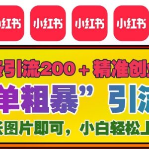 2024年底小红书全新实用引流玩法 单条笔记获200+精准创业粉-雨叶虚拟资源网