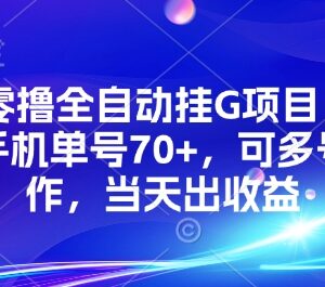 KS全自动零撸挂机项目详解 单号日收益70+可多号操作当天出收益-雨叶虚拟资源网