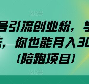 公众号引流精准创业粉实操教程 私域多渠道变现落地方法-雨叶虚拟资源网