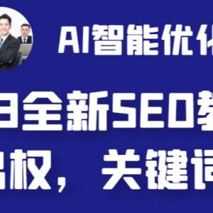 2023最新AI智能网站SEO优化教程 零成本快速出权重可自动写文配图-雨叶虚拟资源网