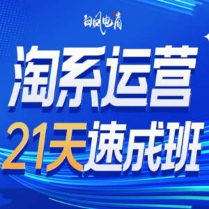 淘系运营21天速成班35期 含年前运营技巧及2025年布局方向-雨叶虚拟资源网