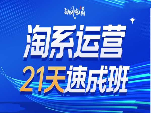 淘系运营21天速成班35期 含年前运营技巧及2025年布局方向