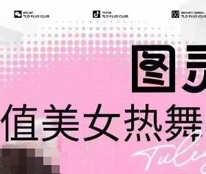 图灵殿AI颜值美女热舞视频制作 云端生图过原创及变现教程-雨叶虚拟资源网