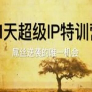 21天超级IP特训营教程 人设打造到私域变现全流程教学-雨叶虚拟资源网