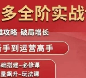 拼多多全阶运营实战课程 从新手入门到店铺破局增长全攻略-雨叶虚拟资源网