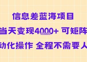 无需人工可矩阵自动化操作 信息差蓝海项目当天即可变现-雨叶虚拟资源网