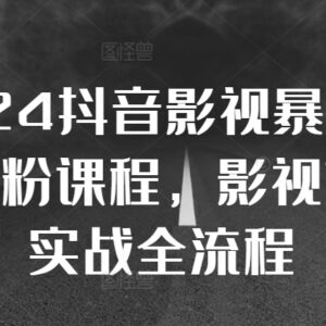 2024抖音影视号暴力起号涨粉课程 剪辑搬运实战全流程教学-雨叶虚拟资源网