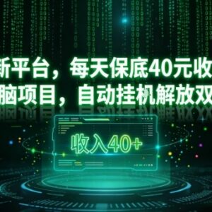 无养机要求看广告挂机副业项目解析 单日收益最高可达40元-雨叶虚拟资源网