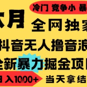 2025年6月最新抖音无人直播撸音浪项目 低门槛小白可做可批量矩阵-雨叶虚拟资源网