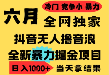 2025年6月最新抖音无人直播撸音浪项目 低门槛小白可做可批量矩阵