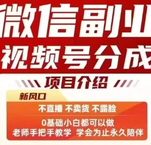 微信视频号分成计划副业详解 无需开播卖货新手也可获收益-雨叶虚拟资源网