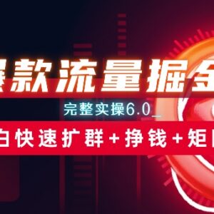 爆款流量掘金6.0实操教程 小白扩群盈利矩阵玩法全解析-雨叶虚拟资源网