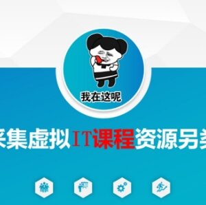 闲鱼虚拟IT课程资源变现实操 附资源采集完整玩法教程-雨叶虚拟资源网
