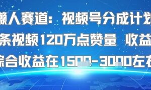 视频号分成计划懒人赛道玩法 120万赞单条可获约1500元综合收益-雨叶虚拟资源网