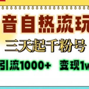 2024抖音自热流引流打法 三天起千粉单视频可达十万播放-雨叶虚拟资源网