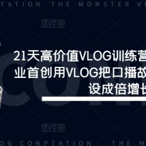 21天高价值VLOG训练营教程 口播故事化打造IP提升流量人设-雨叶虚拟资源网