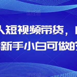 AI数字人短视频带货项目全拆解 低门槛适合新手小白操作-雨叶虚拟资源网
