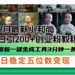 2024小和尚AI视频引流实操教程 单日可获300+高质量创业粉-雨叶虚拟资源网