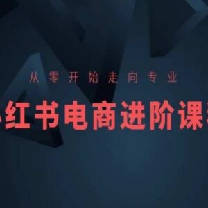 从零到专业小红书电商进阶课程 全流程运营实操教学-雨叶虚拟资源网