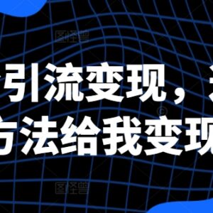 创业粉引流变现实操方法分享 3种落地玩法已实现3万+收益-雨叶虚拟资源网