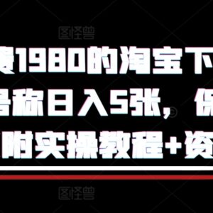 2024淘宝自动下单获利项目保姆级玩法 附实操教程及配套资料-雨叶虚拟资源网