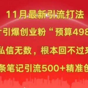 2024年11月小红书偏门图片引流玩法 单条可获500+精准创业粉-雨叶虚拟资源网