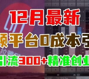 2024年12月喜马拉雅音频平台0成本引流 日引300+精准创业粉-雨叶虚拟资源网