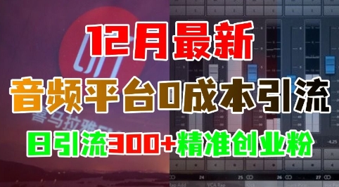 2024年12月喜马拉雅音频平台0成本引流 日引300+精准创业粉