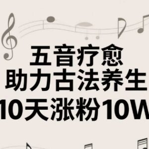 2-4小时学会古法五音疗愈视频制作 零基础实操易上手涨粉快-雨叶虚拟资源网