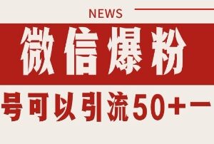 微信私域爆粉暴力引流打法揭秘 实操可日引千粉单号日入50+-雨叶虚拟资源网