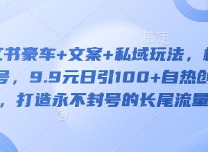 小红书豪车文案私域玩法教程 极速起号引流创业粉打造长尾流量池-雨叶虚拟资源网