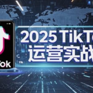 2025TikTok电商运营全流程指南 掌握核心技巧实现低成本高转化-雨叶虚拟资源网