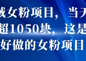 低门槛私域女粉变现项目详解 新手易操作单日可变现超千元可放大-雨叶虚拟资源网