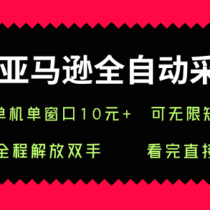 亚马逊全自动采集副业玩法详解 单窗口日入10+可无限矩阵操作-雨叶虚拟资源网