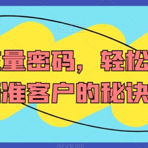 精准获客流量密码教程 私域引流高效获取目标客户技巧-雨叶虚拟资源网