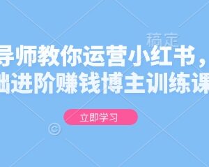 0基础小红书运营训练课 金牌导师教你进阶赚钱博主-雨叶虚拟资源网