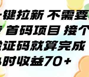 无需回传一键拉新首码项目详解 单小时稳定收益可达70+-雨叶虚拟资源网