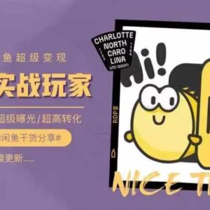 闲鱼运营从0到1系统实操教程 掌握选品思维提升曝光转化率-雨叶虚拟资源网