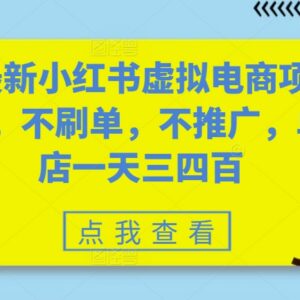 小红书虚拟电商项目实操分享 无需刷单推广单店日均收益数百-雨叶虚拟资源网