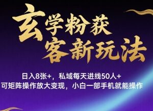玄学粉获客新玩法日入8张+, 私域每天进线50人+,可矩阵操作放大变现,小白一部手机就能操作-雨叶虚拟资源网