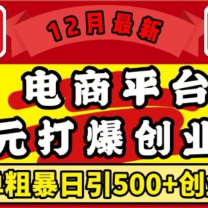 2024年12月电商1元引流玩法 日引500+精准创业粉实操教程-雨叶虚拟资源网